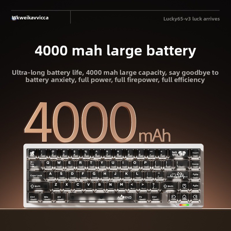 คีย์บอร์ดกลไก WEIKAV Lucky65 V - Tech Desktop Accessories บทวิจารณ์และราคา